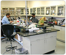 Reclamation employees working in its early detection invasive mussel laboratory.