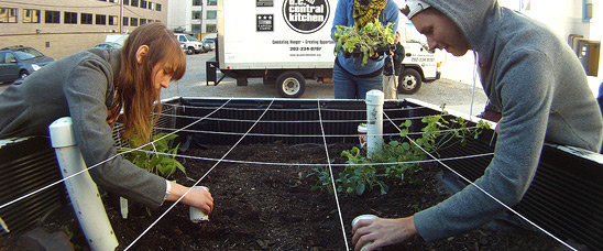 Staff from D.C. Central Kitchen and The Campus Kitchens Project work on the Truck Farm in Washington, D.C. The truck will travel schools and community sites teaching children about healthy eating and where their food comes from through the garden display in its truck bed. 