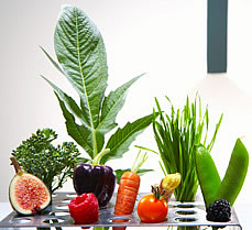 vegetables in test tube holder