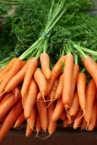 bunches of carrots