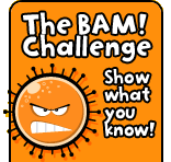 The BAM! Challenge