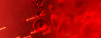 Photo: Illustration: Blood cells