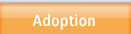 Adoption