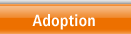 Adoption