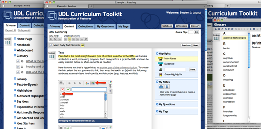 Screenshots of UDL Curriculum Tookit