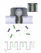 Image of nanopres
