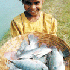 Girl holding basket of fish.