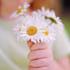 Child with daisies