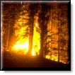 Wildfires - Image courtesy of NOAA