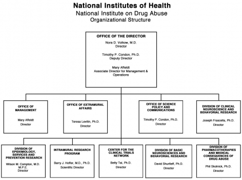 2011 NIDA Organizational Structure, link below for full description