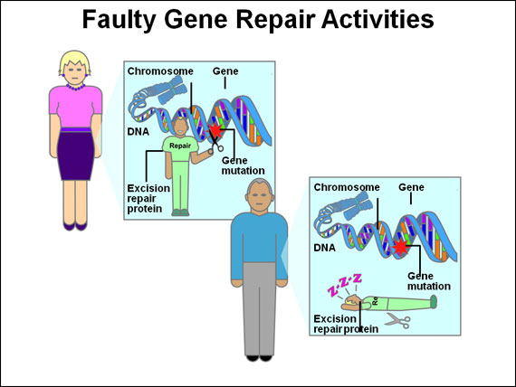 Faulty Gene Repair Activities