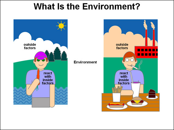 What Is the Environment?
