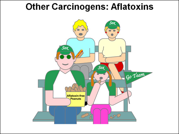 Other Carcinogens: Aflatoxins