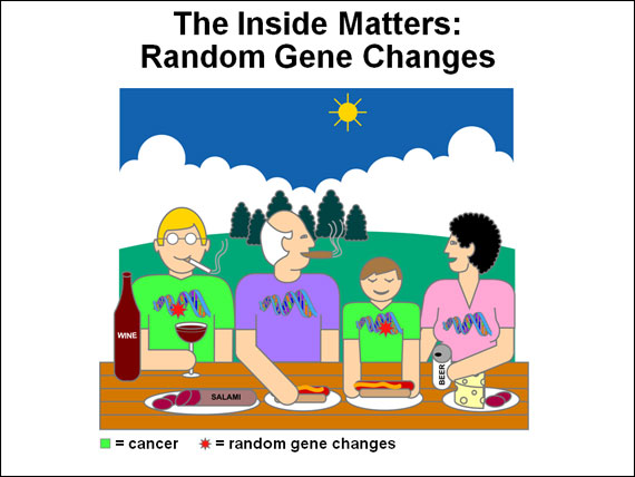 The Inside Matters: Random Gene Changes