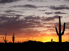 TOP STORY: HSI targets bandit crews that exploit the Arizona border