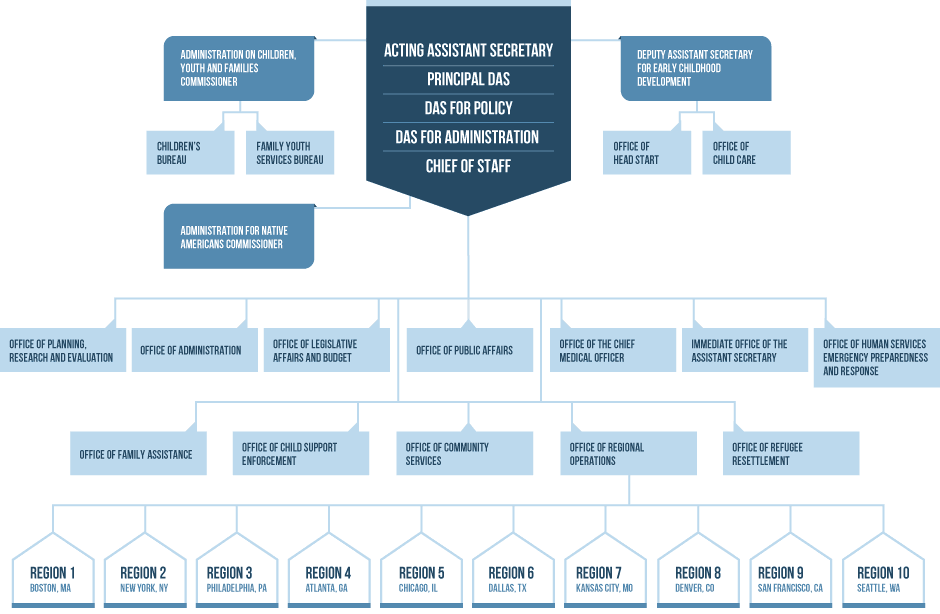 ACF organization chart