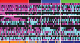 Imagen de tumores de pulmón de células escamosas agrupados por subtipo de expresión génica.