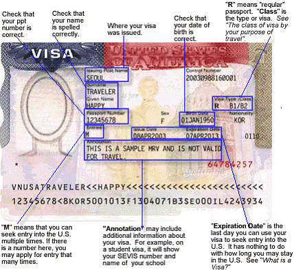 Reading Your Visa