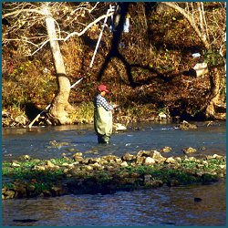 Fishing at Canyon Lake, Texas, courtesy of US Army Corps of Engineers