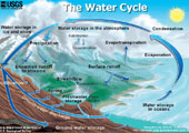 Thumbnail cartoon illustrating the water cycle