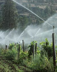 Sistema de irrigación
