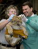 National Zoo Lion Cubs Debut