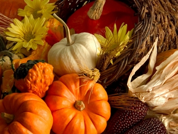 Image of colorful Fall fruits and vegetables (Photo: Westmont.IL.gov)
