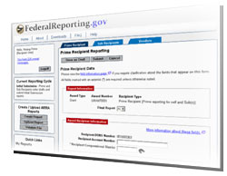 Screenshot of FederalReporting.gov 