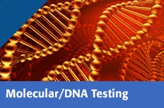 Molecular/DNA Testing