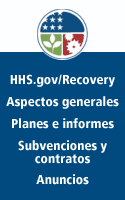 HHS.gov/Recovery Widget