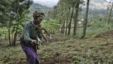 A woman works on a farm in this file photo from near the Tanzanian town of Arusha. Fewer than 10 percent of Tanzanians hold an official title to their land.