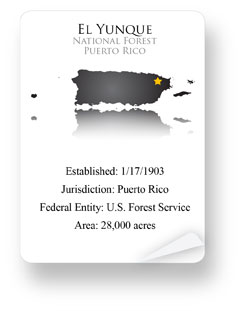 El Yunque National Forest, Puerto Rico - Established: 1/17/1903 - Jurisdiction: Puerto Rico - Federal Entity: U.S. Forest Service - Area: 28,000 acres