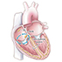 Evaluation and Treatment of Supraventricular Tachycardia