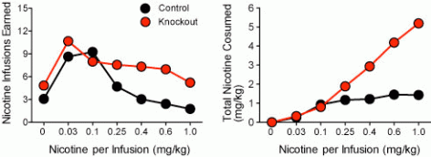 Two graphs compare nicotine consumption between mice lacking the α5 subtype of nicotinic acetylcholine receptor, called knockout mice, and normal mice. The left graph shows that as the nicotine dose per infusion rose, control mice reduced t
