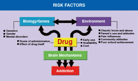 The overall risk for addiction is impacted by the biological makeup of the individual - it can even be influenced by gender or ethnicity, his or her developmental stage, and the surrounding social environment (e.g., conditions at home, at school, and in the neighborhood)