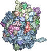 a 3D illustration of a ribosome.