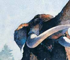 (photo) Painting of ancient mastodon. Use prohibited without permission.