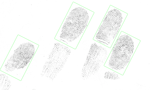 overlapping fingerprints