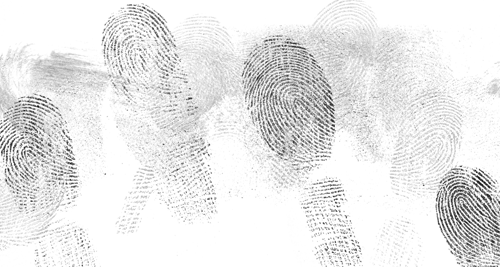 mess fingerprint card
