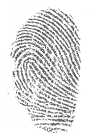 Typical livescan finger 02 copy