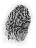 typical paper fingerprint finger 10
