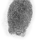 typical paper fingerprint finger 09