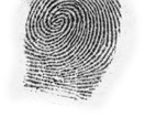 typical paper fingerprint finger 08