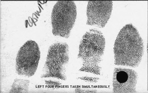Typical Paper fingerprint