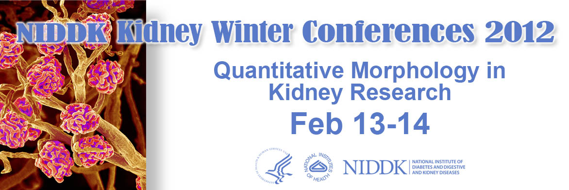 Quantitative Morphology in Kidney Research