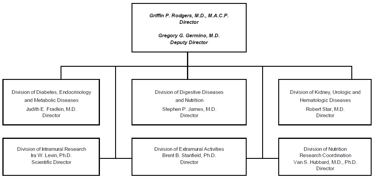 Organization Chart