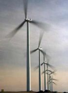 Picture of Windmills Producing Power