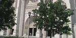 The National Cathedral