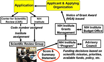 Description of what happens to your application:  The applicant has a great idea, discusses it with people within their department or with their mentor and writes it up in the correct format for a specific funding mechanism, usually the R01 for the NIH. This application is submitted to the NIH, or more specifically the Center for Scientific Review (CSR).  Of course, these days all of this occurs electronically but it is necessary to understand the movement of the application so that you can intercede if necessary. The CSR assigns each application an application number, which codifies the type of application and the institute assignment for a potential funding decision. In addition, the application is assigned a Scientific Review Group (SRG) who will perform the scientific review and will assign the priority score and percentile ranking for a potential funding decision. Following the review, the applicant will receive a summary statement that will contain the reviewers’ critiques and for those applications that receive a score, a summary of the reviewers’ discussion will appear on the summary statement. Unscored applications will be returned to the applicant for revision.  Scored applications will proceed to the assigned NIH Institute for a potential funding decision. The staff who handles these applications within the Institute are called program staff. They discuss funding decisions with the Advisory Council. A funding decision is based on scientific mission of the Institute, the Institute’s priorities, the availability of funds and any Institute policies. Program staff generate the necessary paper work to initiate the funding of an application. The paper work is sent on to the Grants Management Offices and Budget Offices within the Institute.  These offices make the final determination if funds are available and hence whether an application can be supported, i.e. making an application into a grant. Once the funding decision has been made, the Notice of Grant Award (NGA) is issued to the applying organization or where the applicant works. The NIH does not fund an applicant but rather supports an organization. 