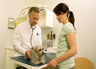 Veterinarians